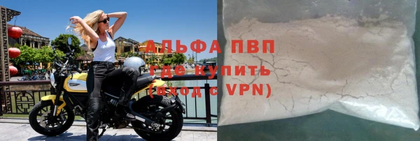 стафф Белокуриха