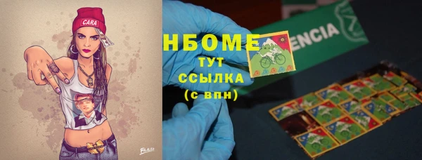 дживик Слюдянка