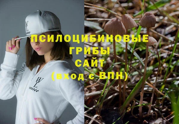 твердый Снежинск
