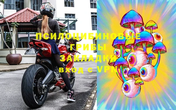 дживик Слюдянка