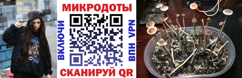 Галлюциногенные грибы Psilocybe  Козельск 